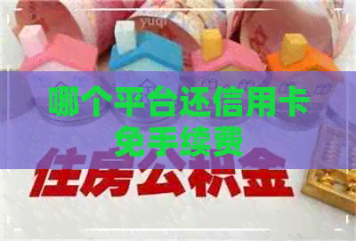 哪个平台还信用卡免手续费