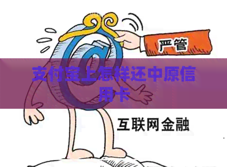 支付宝上怎样还中原信用卡