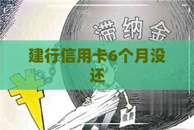 建行信用卡6个月没还