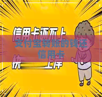 支付宝转账的钱还信用卡