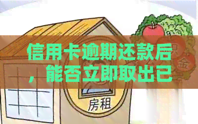 信用卡逾期还款后，能否立即取出已存入的款项？