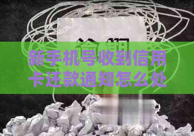 新手机号收到信用卡还款通知怎么处理