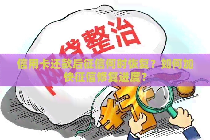 信用卡还款后何时恢复？如何加快修复进度？