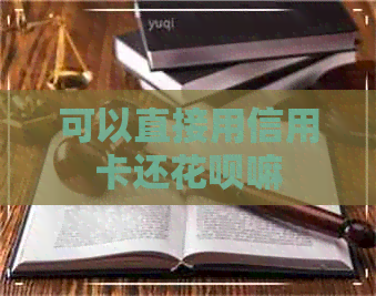 可以直接用信用卡还信用卡嘛