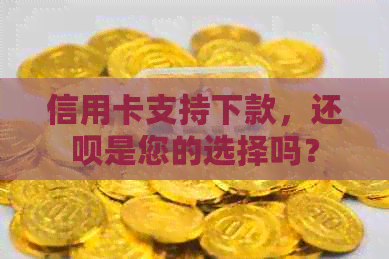 信用卡支持下款，还款是您的选择吗？