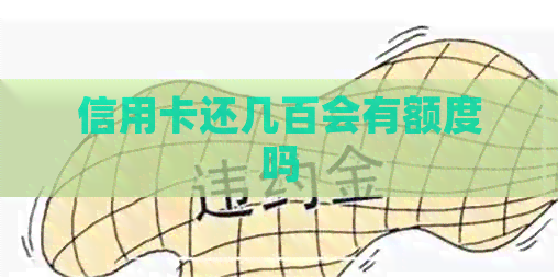 信用卡还几百会有额度吗