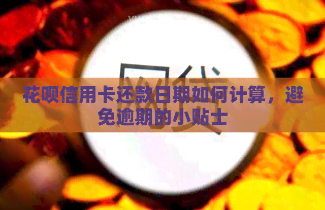 信用卡信用卡还款日期如何计算，避免逾期的小贴士