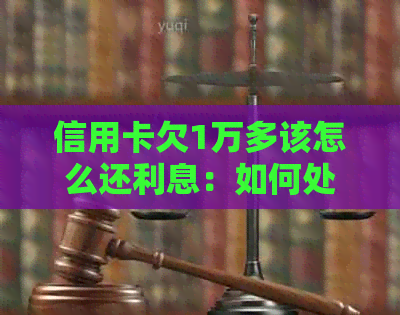 信用卡欠1万多该怎么还利息：如何处理高额利息和还款问题？