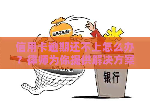 信用卡逾期还不上怎么办？律师为你提供解决方案及应对措