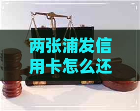 两张浦发信用卡怎么还