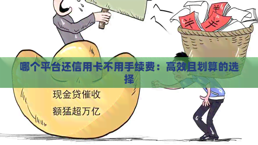 哪个平台还信用卡不用手续费：高效且划算的选择