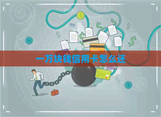 一万块钱信用卡怎么还