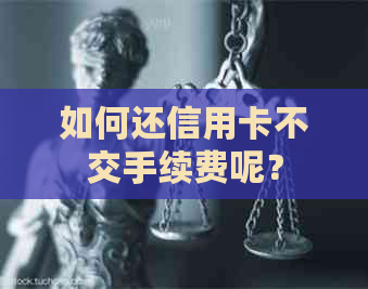 如何还信用卡不交手续费呢？