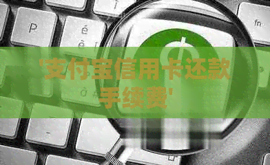 '支付宝信用卡还款手续费'