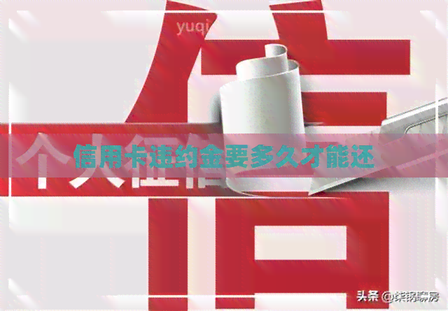 信用卡违约金要多久才能还