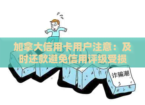 加拿大信用卡用户注意：及时还款避免信用评级受损
