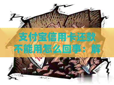 支付宝信用卡还款不能用怎么回事：解决方法与失败原因