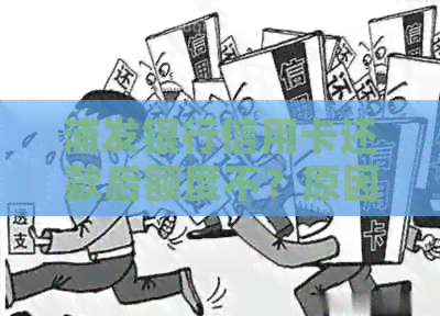 浦发银行信用卡还款后额度不？原因解析及解决办法一文详解