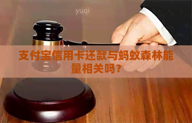 支付宝信用卡还款与蚂蚁森林能量相关吗？