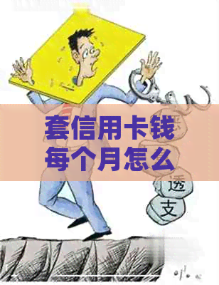 套信用卡钱每个月怎么还