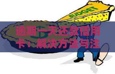 逾期一天还款信用卡：解决方法与注意事项