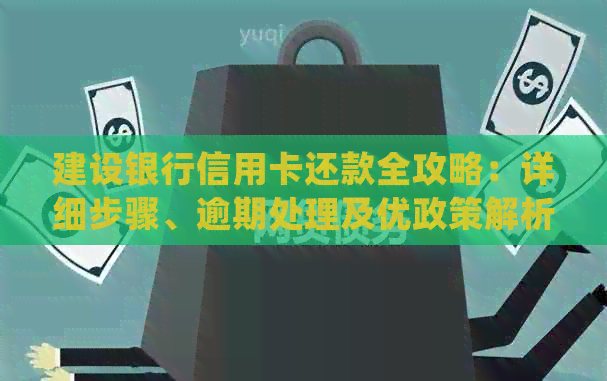 建设银行信用卡还款全攻略：详细步骤、逾期处理及优政策解析