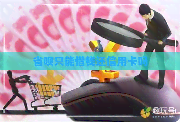 省呗只能借钱还信用卡吗