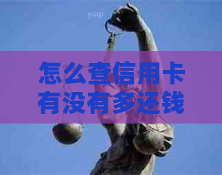 怎么查信用卡有没有多还钱的记录——查询信用卡还款情况