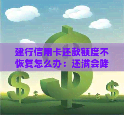 建行信用卡还款额度不恢复怎么办：还满会降额吗？宽限期存在吗？