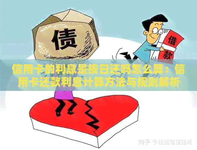 信用卡的利息是按日还吗怎么算：信用卡还款利息计算方法与规则解析