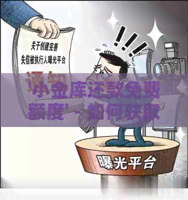 '小金库还款免费额度' - 如何获取，相关手续费，及免除条款解释