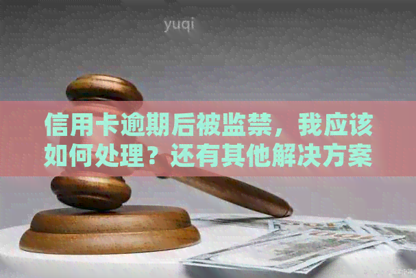 信用卡逾期后被监禁，我应该如何处理？还有其他解决方案吗？