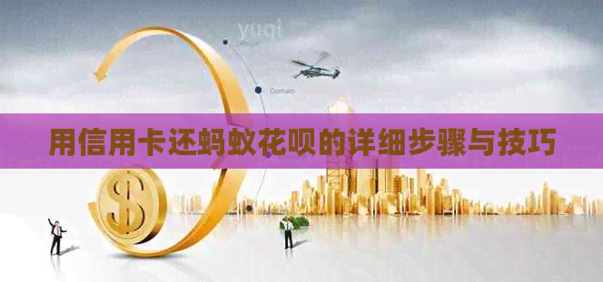 用信用卡还蚂蚁信用卡的详细步骤与技巧
