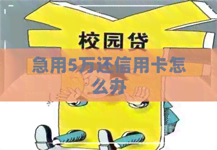 急用5万还信用卡怎么办