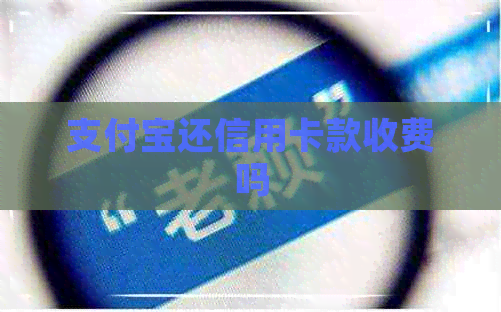 支付宝还信用卡款收费吗