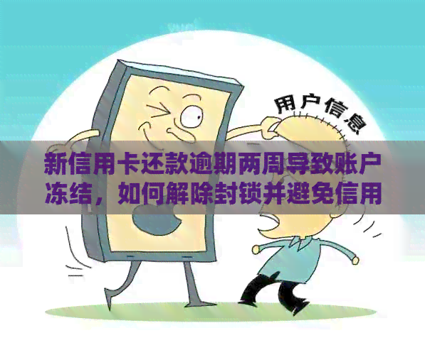 新信用卡还款逾期两周导致账户冻结，如何解除封锁并避免信用损失？