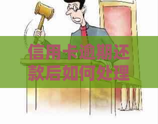 信用卡逾期还款后如何处理？注销后又该如何操作？全方位解决方案
