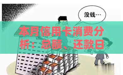 本月信用卡消费分析：总额、还款日期与还款方式详解