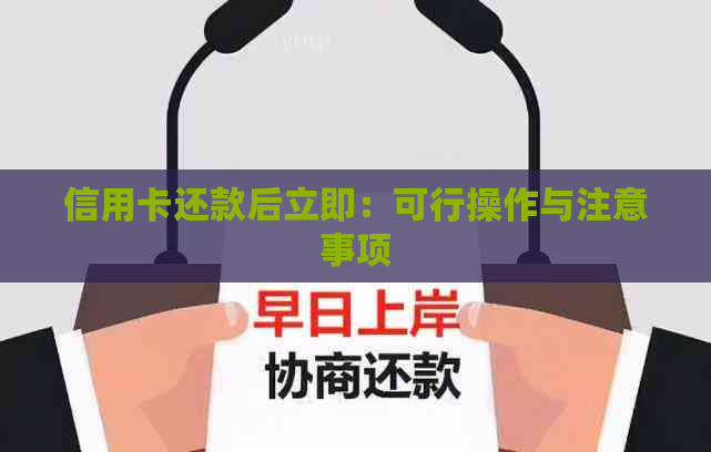 信用卡还款后立即:可行操作与注意事项