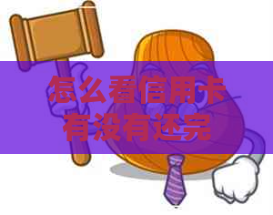 怎么看信用卡有没有还完