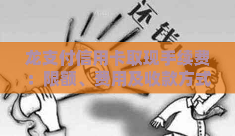 龙支付信用卡取现手续费：限额、费用及收款方式详解