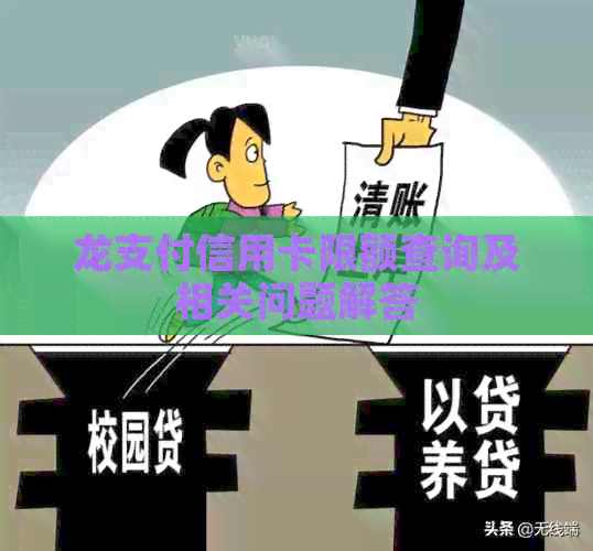 龙支付信用卡限额查询及相关问题解答