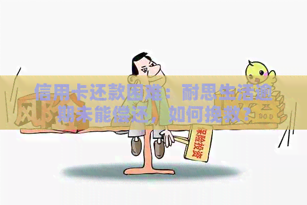 信用卡还款困难：耐思生活逾期未能偿还，如何挽救？