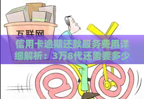 信用卡逾期还款服务费用详细解析：3万8代还需要多少手续费？