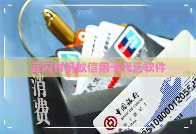 云闪付蚂蚁信用卡代还软件