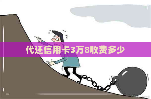 代还信用卡3万8收费多少
