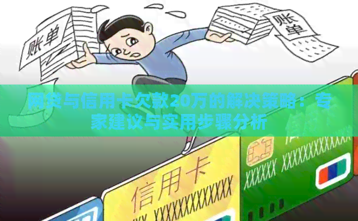 网贷与信用卡欠款20万的解决策略：专家建议与实用步骤分析