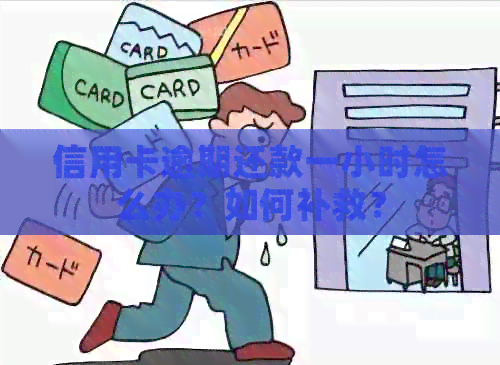 信用卡逾期还款一小时怎么办？如何补救？