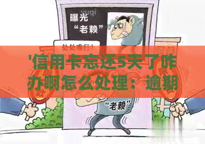 '信用卡忘还5天了咋办啊怎么处理：逾期后的解决策略'