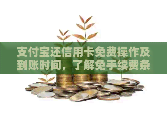 支付宝还信用卡免费操作及到账时间，了解免手续费条件与额度。